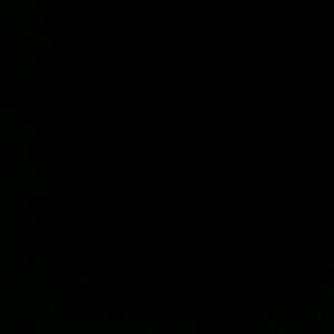 Meet your Posher, Taishs